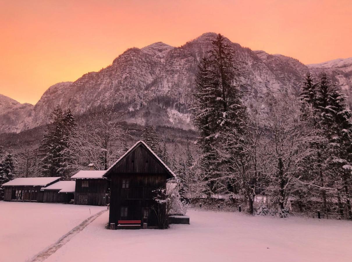 Landhaus Lilly Obertraun Esterno foto